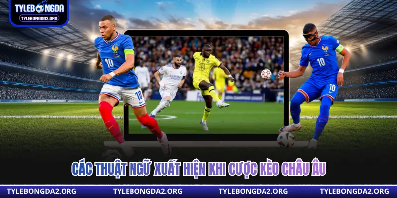 Các thuật ngữ xuất hiện khi cược kèo châu âu 