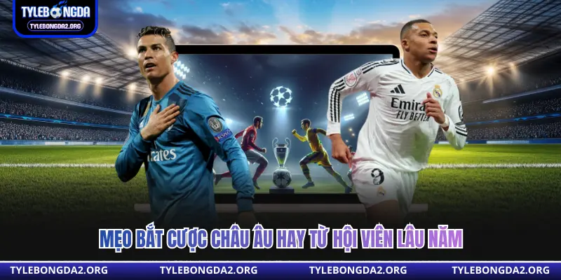 Mẹo bắt cược châu âu hay từ hội viên lâu năm 